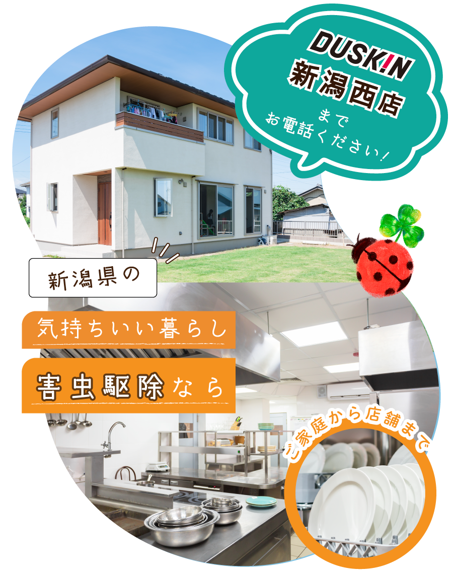 topスマホバナー1